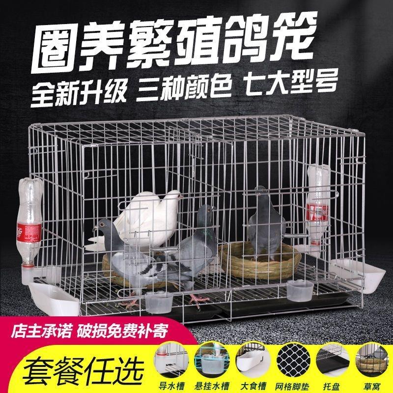 鸽子笼子养殖笼家用繁殖配对鸽子鸡兔笼鸽子巢箱鸽子用品用具包邮