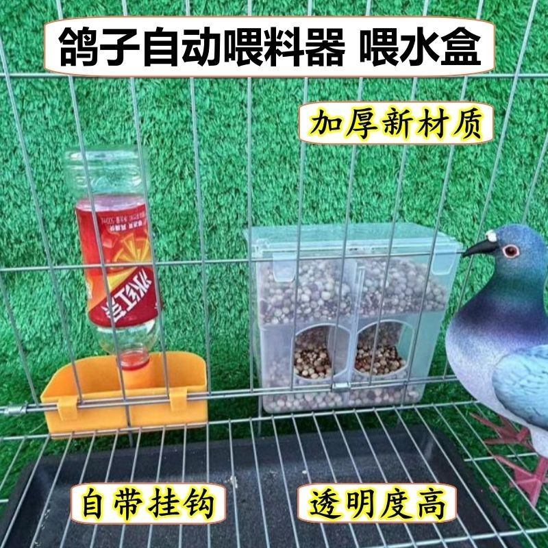鸽子自动食槽喂食下料器鸽子笼用品用具肉鸽种鸽防撒食盒信鸽用品