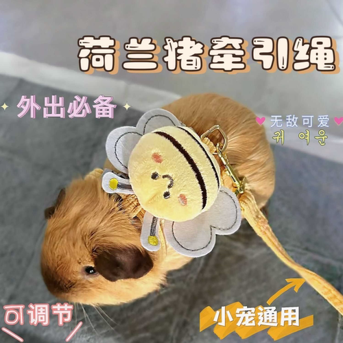 兔兔荷兰猪牵引绳挣脱侏儒兔绳外出专用小兔子调节绳子宠物通用
