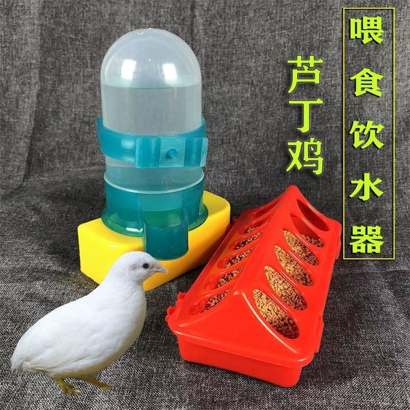 芦丁鸡养殖 喂食器 防撒 食盒 饮水 器小鸡鹌鹑自动喂食