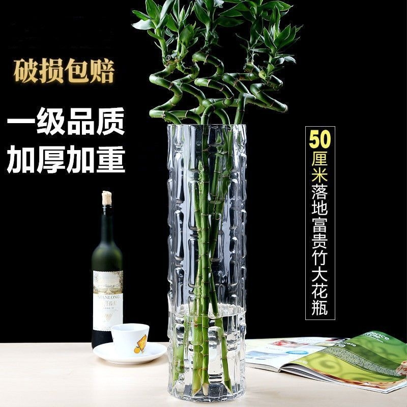 加厚特大号落地富贵转运竹水养干花插花水培透明玻璃花瓶客厅摆件