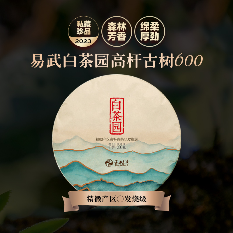 2023春九系易武白茶园高杆古树