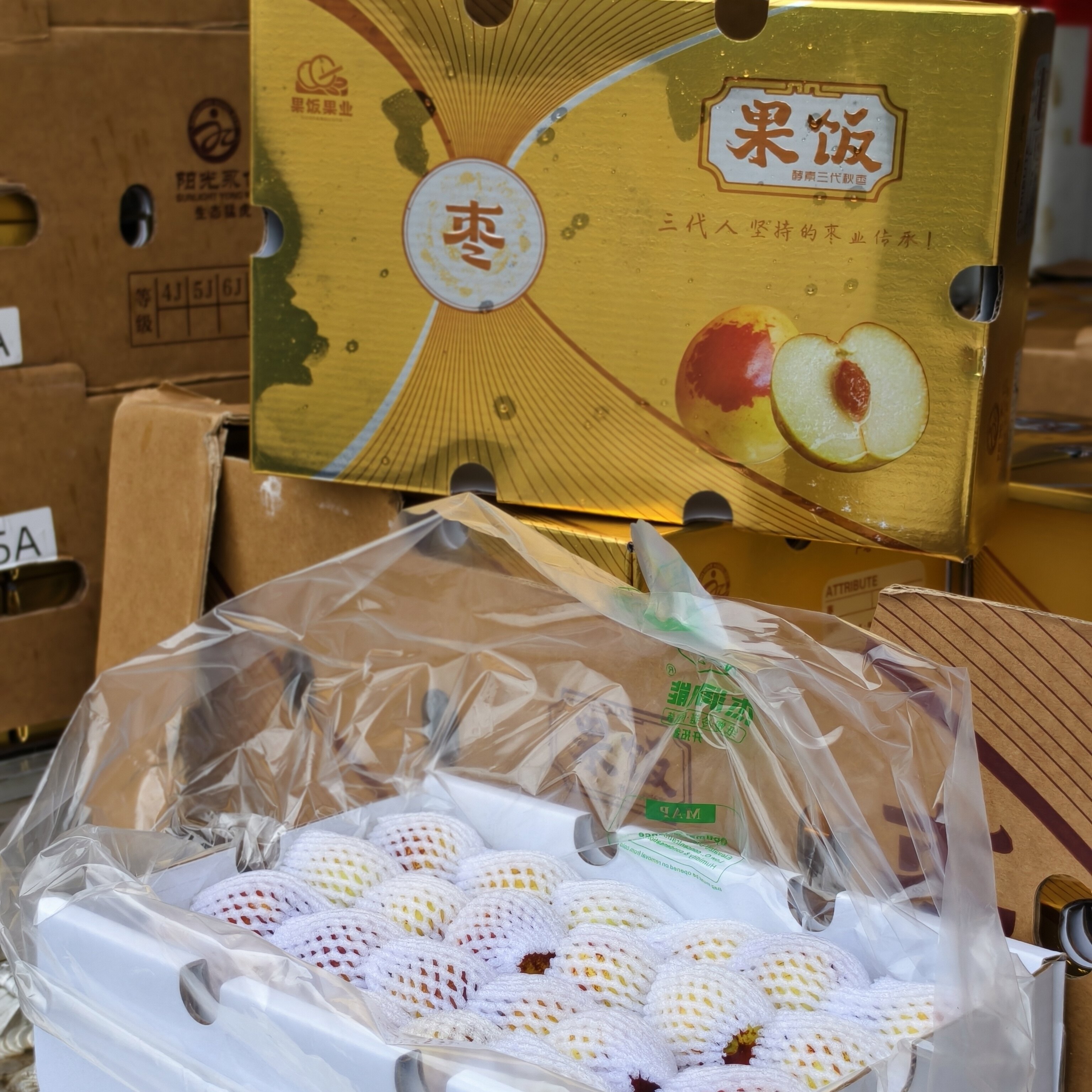 果饭酵素秋枣脆甜新鲜好吃礼盒装