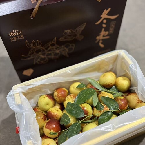 清晨果园二代短枝冬枣原箱礼盒2斤当季新鲜水果脆甜青枣大枣京东