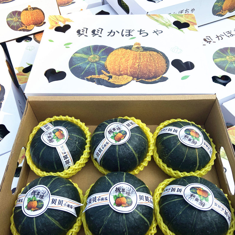 贝贝小南瓜栗子味5-6个礼盒装宝宝辅食板栗味香甜粉糯小南瓜新鲜,水产肉类/新鲜蔬果/熟食,南瓜,淘宝优惠券,粉丝福利购,淘宝优惠卷