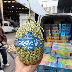 破晓之蜜青帝蜜瓜礼盒2颗大果新鲜水果哈密瓜网纹瓜脆甜多汁包邮