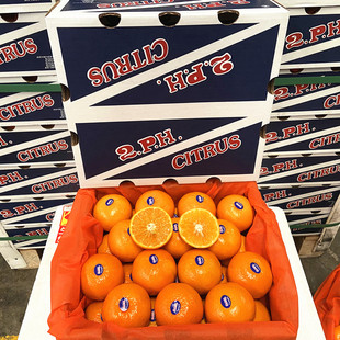 新货澳洲品种2PH蜜柑桔子3斤当季新鲜水果有籽沃柑甜澳柑蜜桔橘子