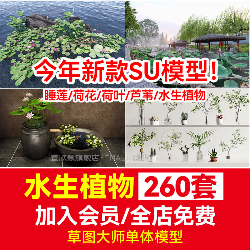 水生植物su模型草图大师鱼池生态湿地滨水公园池塘睡莲荷花荷草本