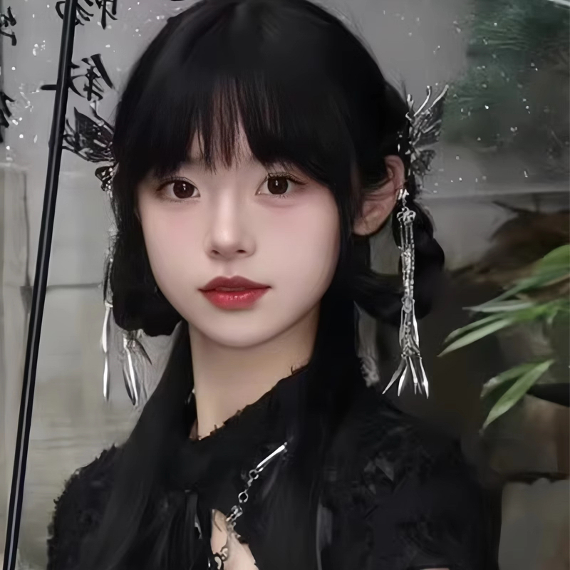 新中式蝴蝶流苏抓夹民族风