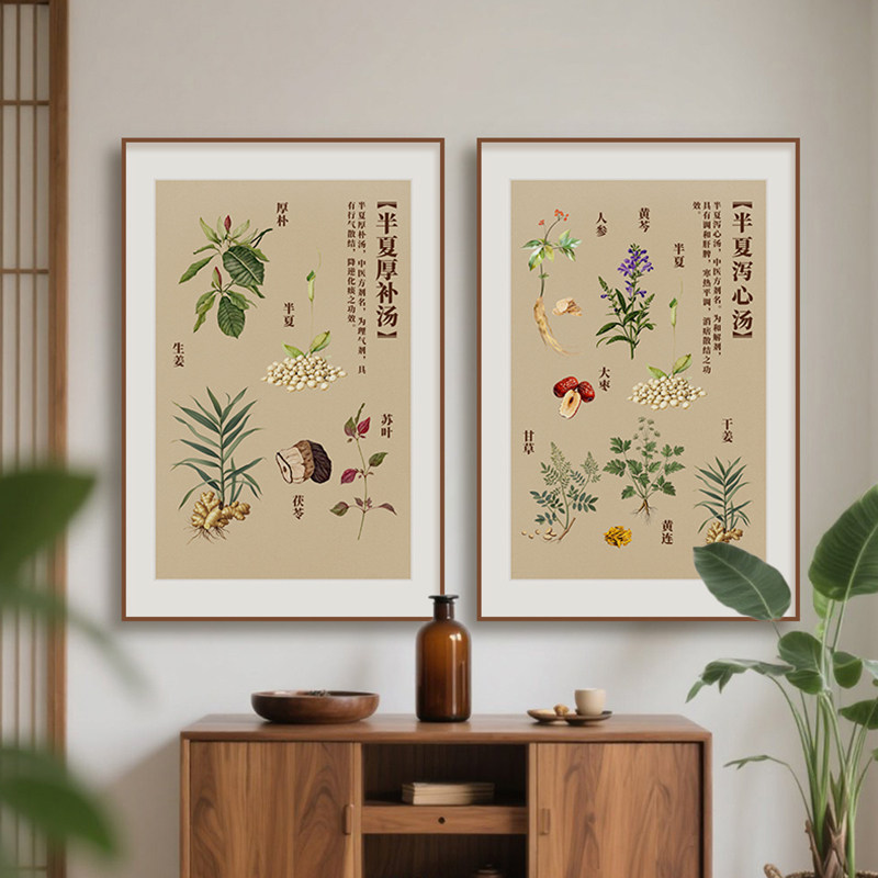 中药汤方装饰画中医馆背景墙挂画养生馆中药房文化墙草药汤剂壁画