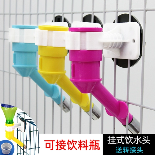 Домашние нагреватель питьевой воды собака собаки пить