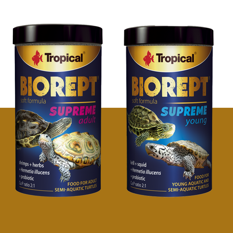 龟粮卓必客Tropical半水龟增色乌龟饲料上浮型软性粮软粮免泡巴西