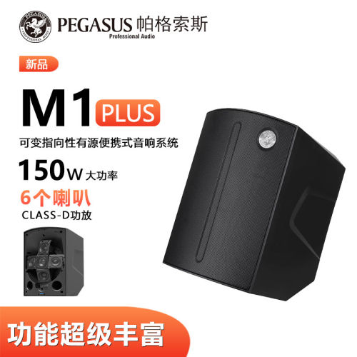 PEGASUS帕格索斯 M1多功能木吉他音箱专业便携可充电街头弹唱音响