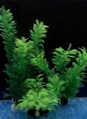 新品柔软塑料水草鱼缸仿真水草装饰品绿色水芹多个高度大小可选
