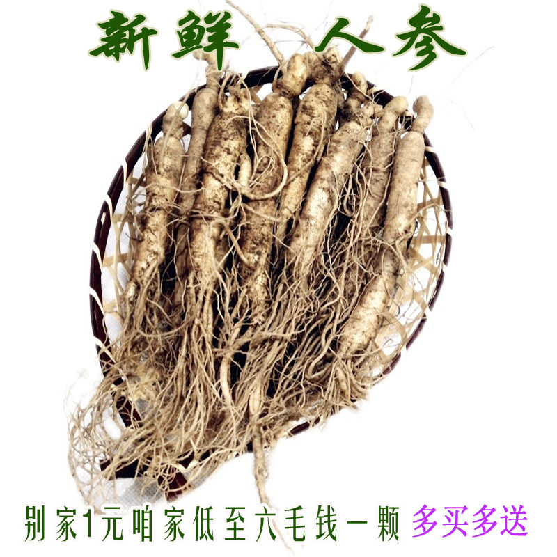 长白山现挖一1元参野生整支新鲜小人参山参泡酒煲汤火锅饭店包邮