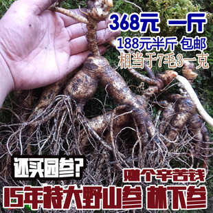 东北长白山新鲜特大人参野山参林下参残锈鲜移山参15年-20年100克
