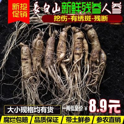 东北吉林长白山6-8年带土新鲜