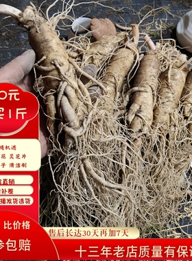 吉林现挖林下大小个带土新鲜人参长白山野生山参泡酒煲汤白参包邮