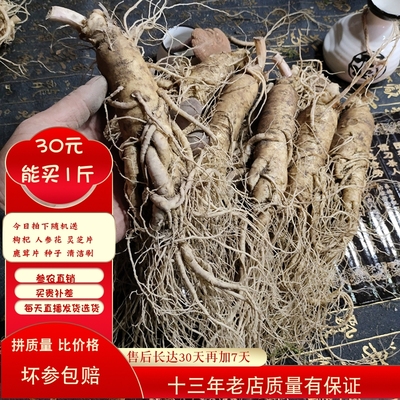 现挖特价长白山野山参野生吉林