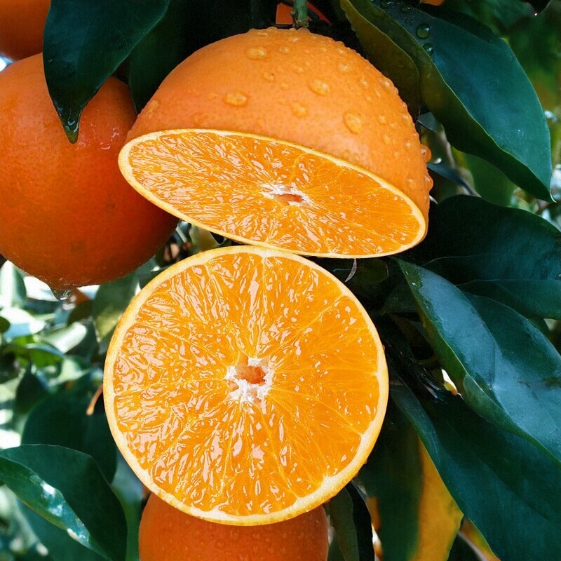 正宗赣南脐橙甜报恩大果酸甜爆汁