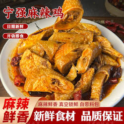 陕西宁强麻辣鸡秦岭山鸡香辣鸡熟食凉菜速食鸡真空袋装扒鸡椒麻鸡