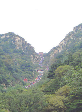 生基