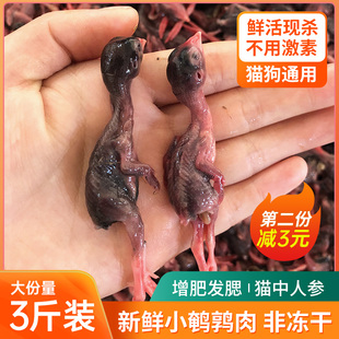 新鲜小鹌鹑肉冷冻幼仔鹌鹑雏鸟现杀速冻肉类非冻干宠物零食生骨肉