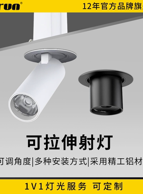 2025新款高显拉伸旋转射灯