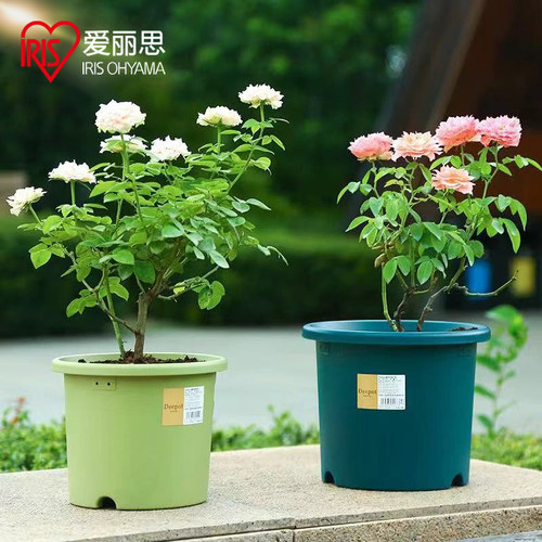爱丽思iris大号深型deepot塑料