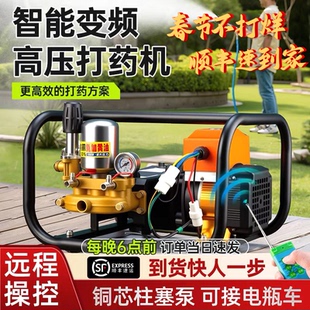 变频遥控电动车高压三缸柱塞泵打药机农用果树48V60V72V220喷雾器