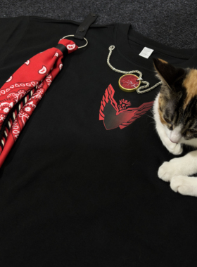 鸟联组服饰通用可拆卸肩膀飘带潮流配饰