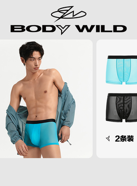 【冰丝感2条装】BODYWILD宝迪男内裤透明网纱透明内裤男ZBN23EG4