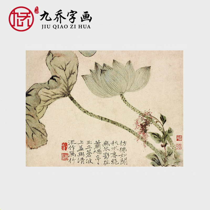 石涛荷花图国画水墨画原作真迹宣纸艺术微喷打印画书房卧室装饰画图片