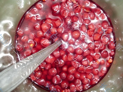 长白山野生东北特产新货五味子