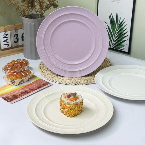 10.1英寸陶瓷牛排盘哑光浮雕