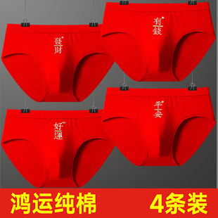 马年本命年内裤男士大红色三角裤头纯棉袜子男款12到15岁男生裤衩
