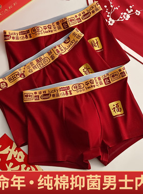 本命年红色男士内裤纯棉男生平角裤中腰四角裤短裤头结婚喜事底裤