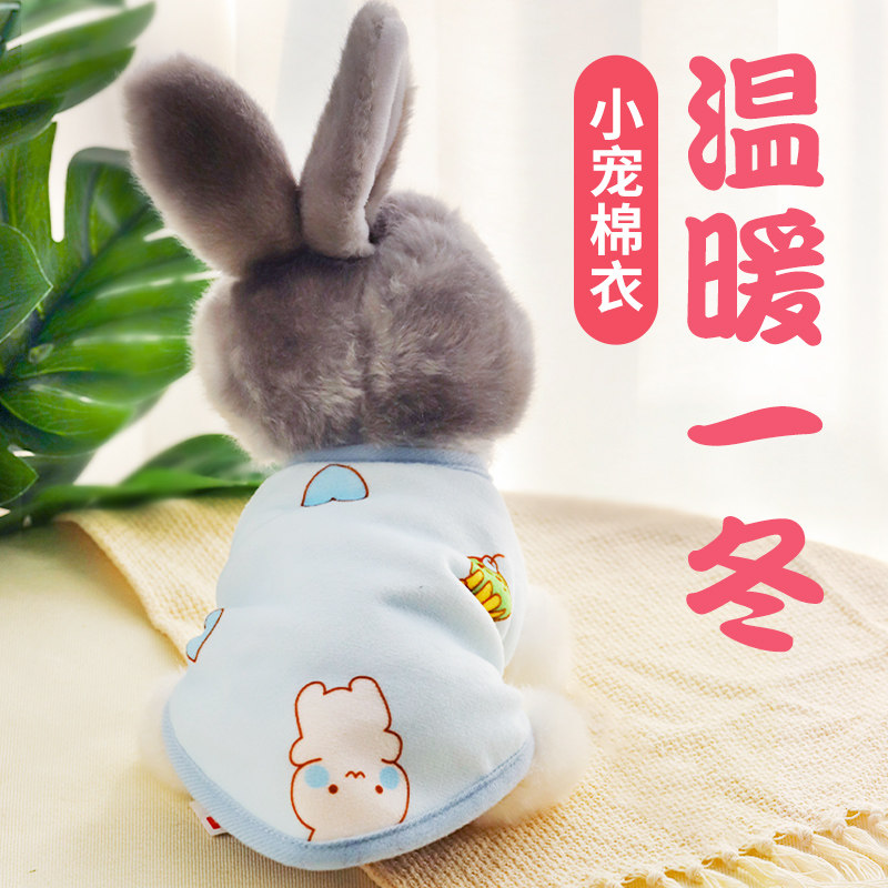 兔子衣服 宠物兔 秋冬冬装小型侏儒兔垂耳兔幼兔保暖小兔子用品