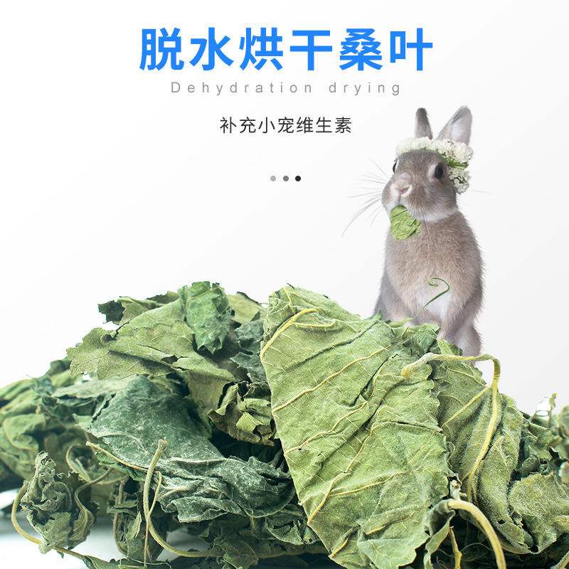 桑叶干草兔子龙猫仓鼠荷兰猪饲料粮食食物小零食兔兔用品牧草兔粮