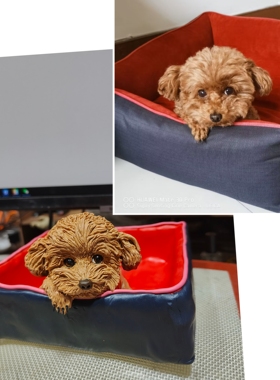 软陶宠物生日礼物创意纪念品玩偶