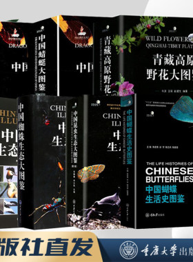 中国中国生态大图鉴全套鸟类生态
