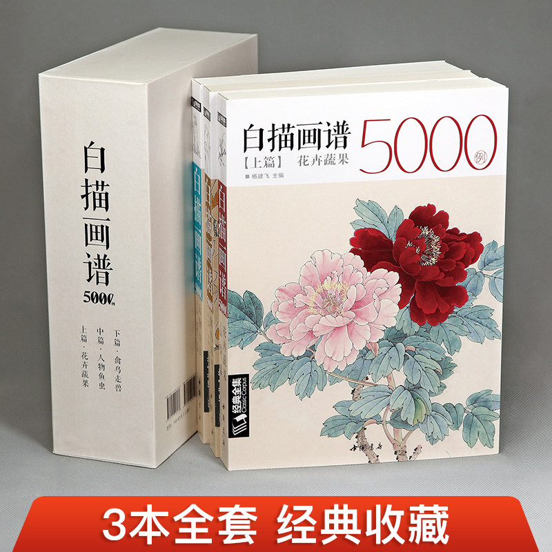 白描画谱5000例全3册 上篇花卉果蔬 中篇禽鸟走兽 下篇人物鱼虫 中国历代工笔画白描全集入门国画画册临摹书籍 杨建飞
