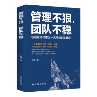 不懂带团队你就自己累管理不狠团队不稳领导力不懂说话怎么带团队销售心理学 正版 团队不稳 管理不狠 成功法则高情商管理书XQ 书籍