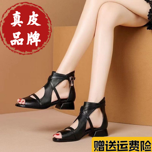 红晴蜓真皮罗马凉鞋女2023新款低跟气质百搭凉鞋粗跟鱼嘴镂空凉鞋