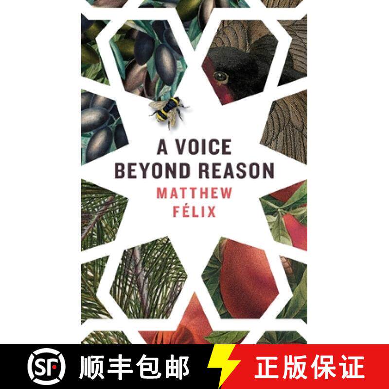 预订 A Voice Beyond Reason: A Coming of Age Novel about Intuition [9780997761993]