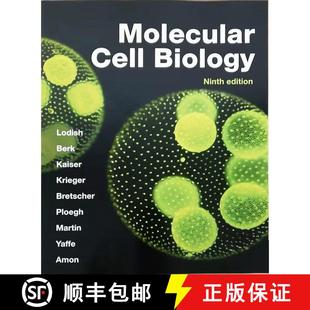 现货 分子细胞生物学 简装 Molecular Cell Biology [9781319365486]