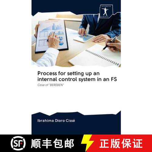 【3-4周达】Process for setting up an internal control system in an FS: Case of BEREBEN (Aufl.) [9786200957191]