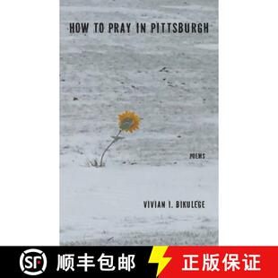 How Pray Pittsburgh 3周达 9781960558084