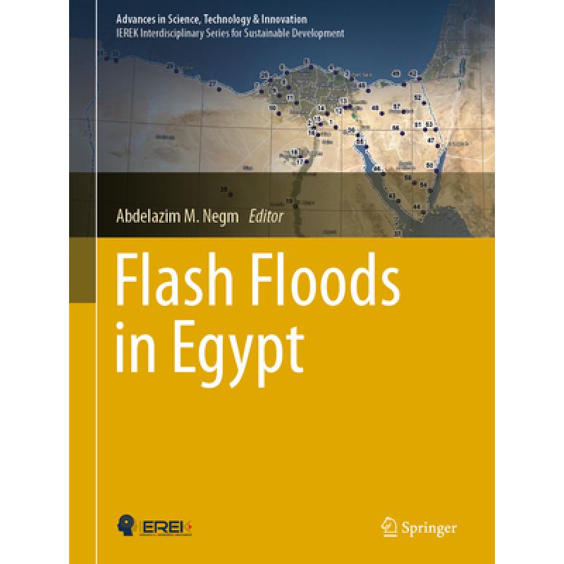 【4周达】Flash Floods in Egypt [9783030296346] 书籍/杂志/报纸 原版其它 原图主图