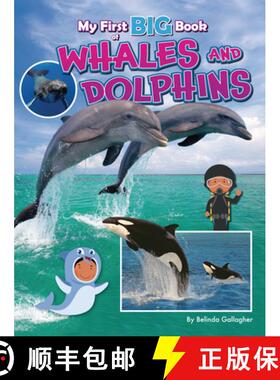 【3-4周达】My First Big Book of Whales and Dolphins [9781788566339]